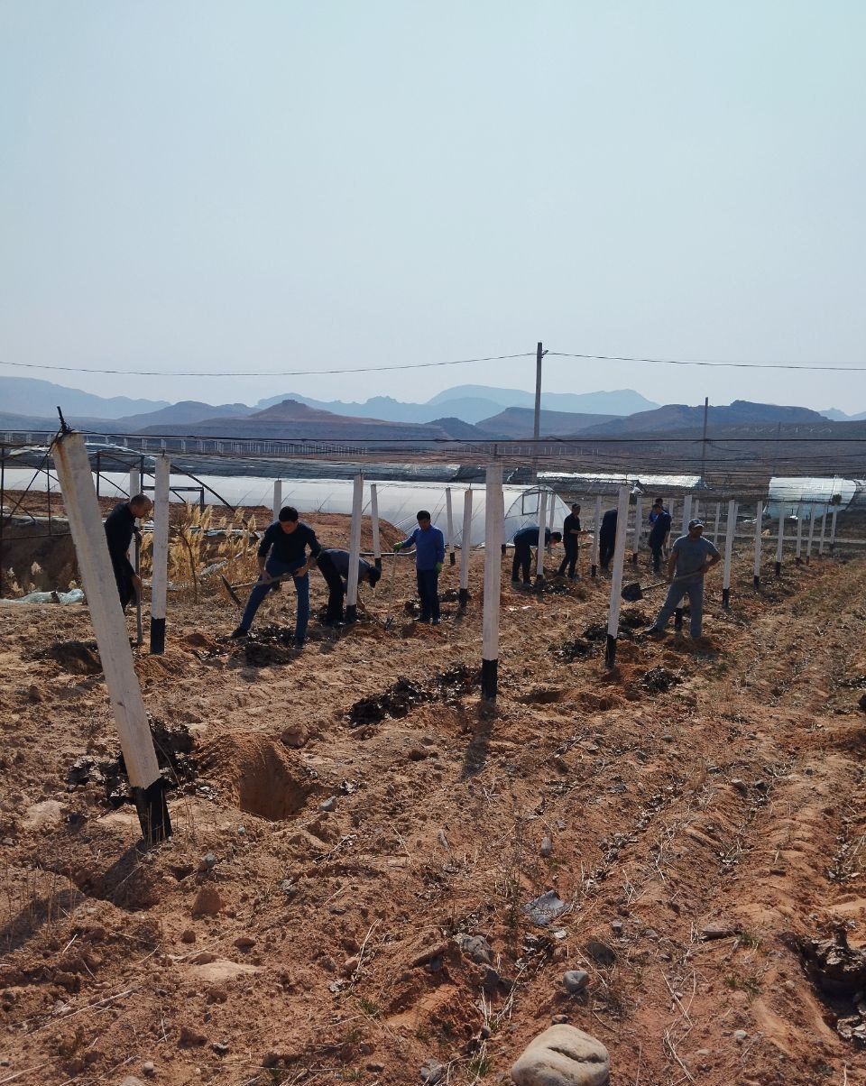 https://api3.fergana.uz/files/151400/news/news_1742210887757.jpg