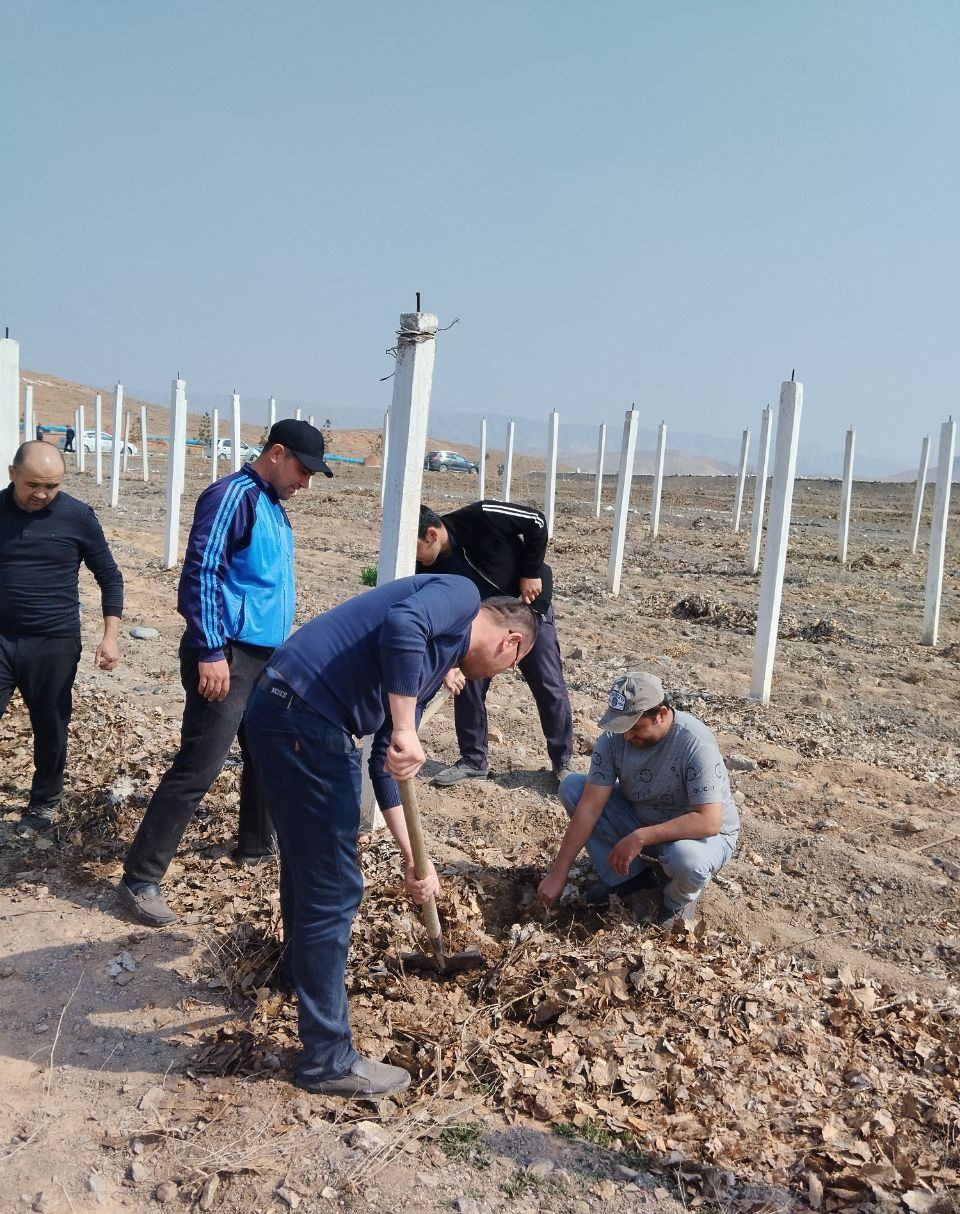 https://api3.fergana.uz/files/151400/news/news_1742210887759.jpg