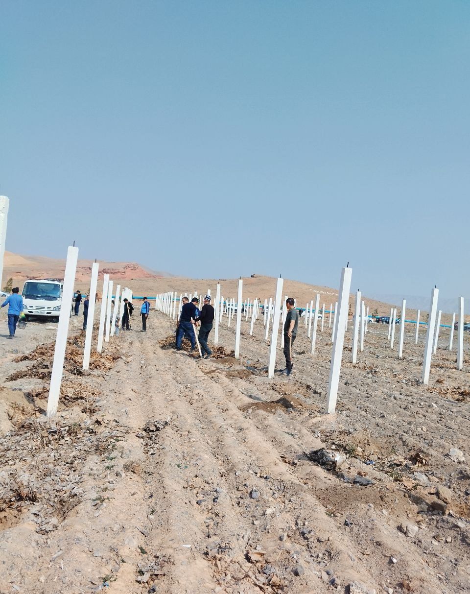 https://api3.fergana.uz/files/151400/news/news_1742210887770.jpg