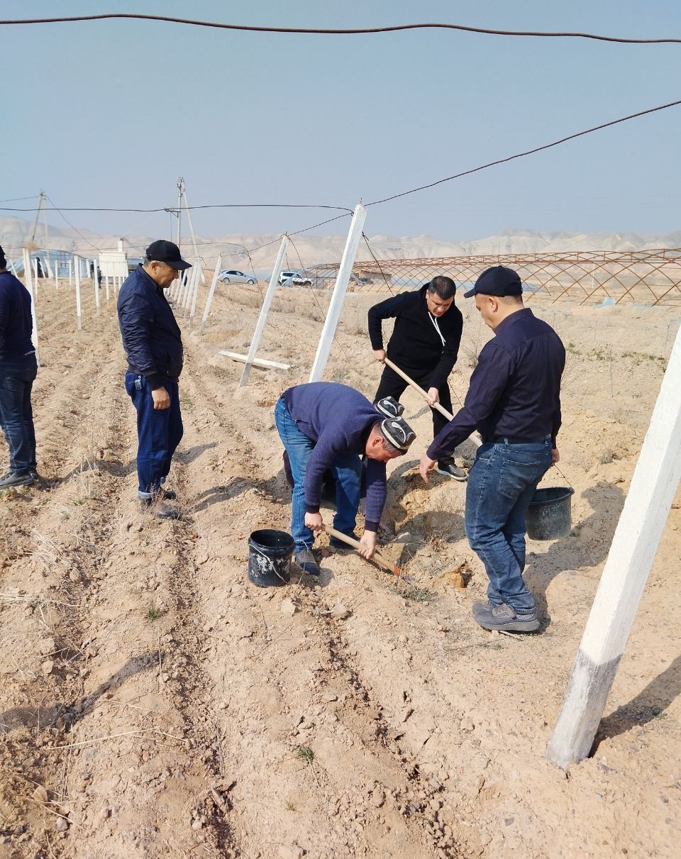 https://api3.fergana.uz/files/151400/news/news_1742210887817.jpg